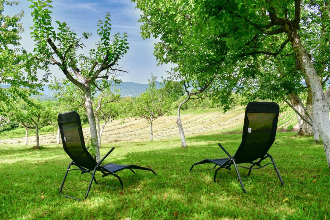 Plum Plitvice Apartment *