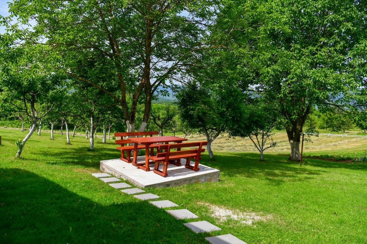 Plum Plitvice Apartment Dreznik Grad