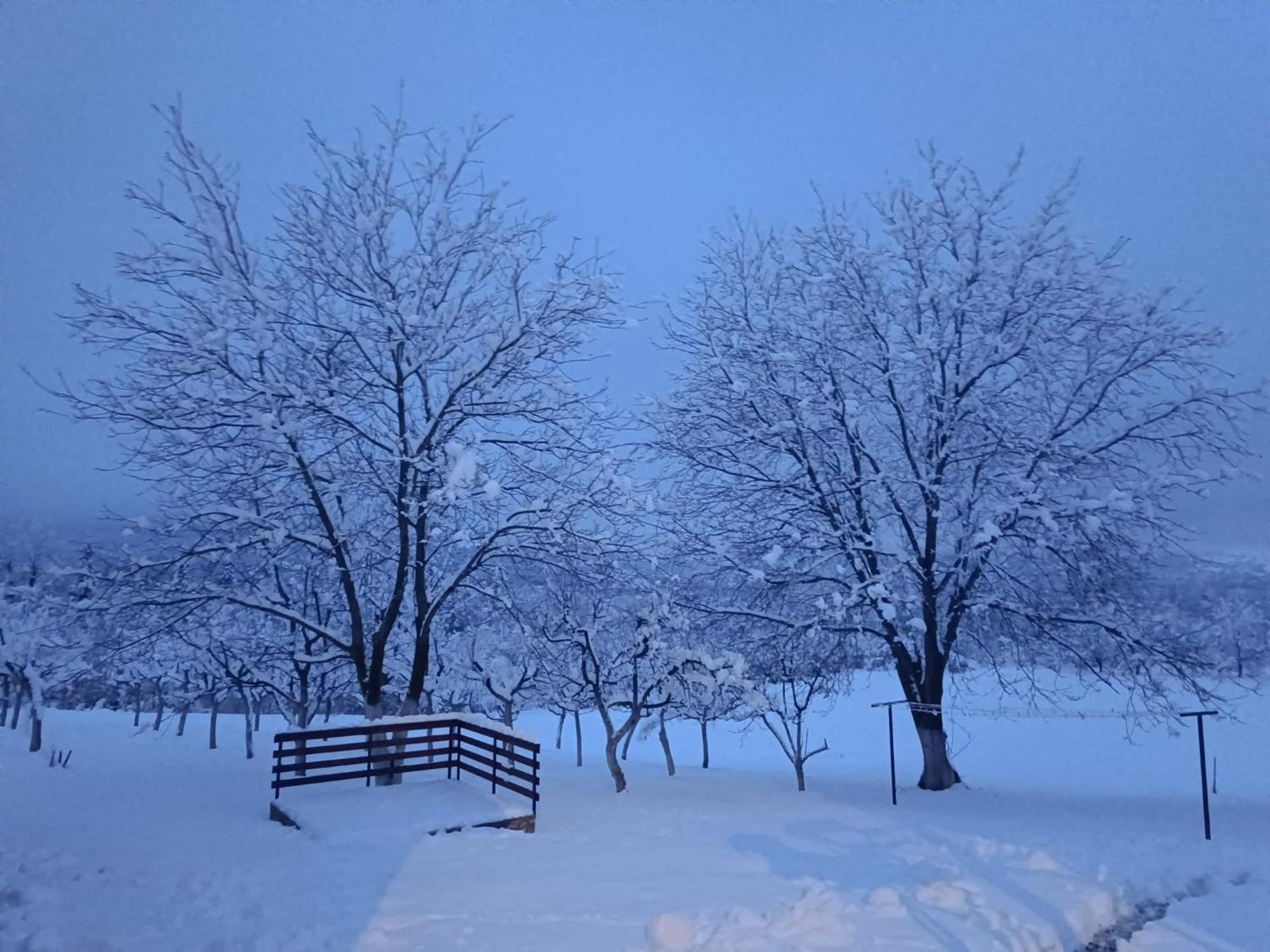Plum Plitvice * Dreznik Grad